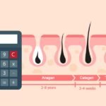 Hair Growth Calculator