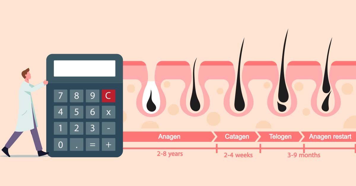 Hair Growth Calculator