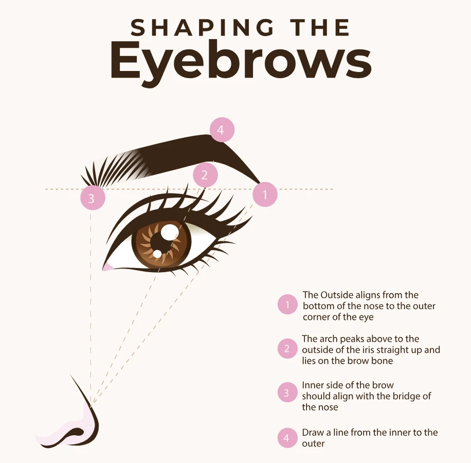 Shaping The Eyebrows